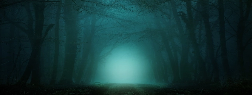 Dark Path in Forest